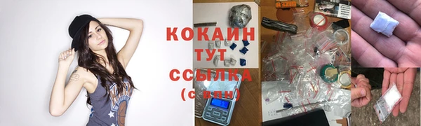 COCAINE Богородицк