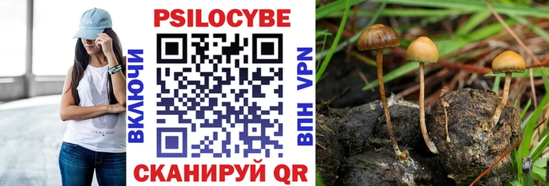 Псилоцибиновые грибы Cubensis Борисоглебск